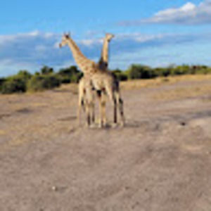 Meet your Posher, Katrags